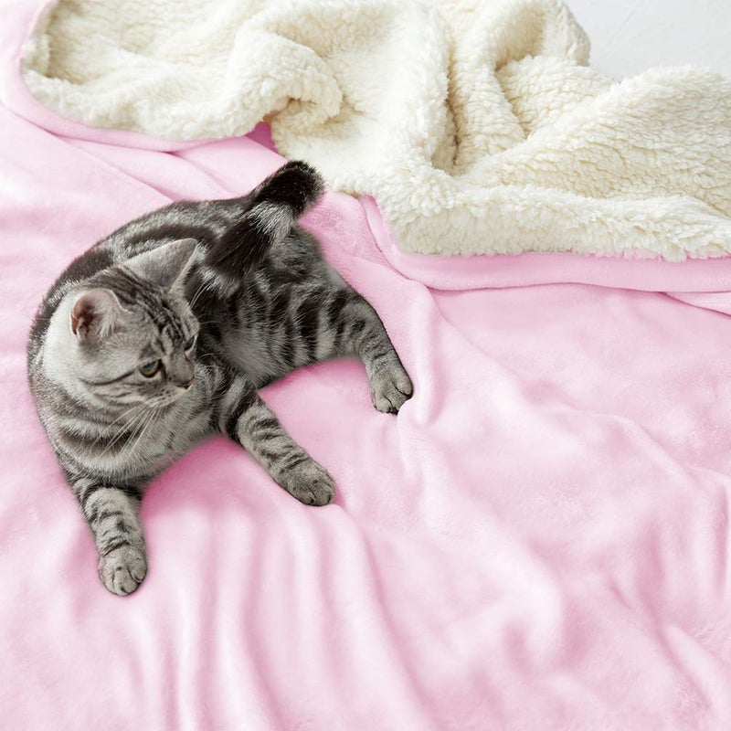 LBRO2M Sherpa Fleece Bed Blanket Queen Size Super Soft Fuzzy Plush Warm Cozy Fluffy Microfiber Couch Throw Velvet Double Reversible Luxurious Blankets,Pink - Image 5